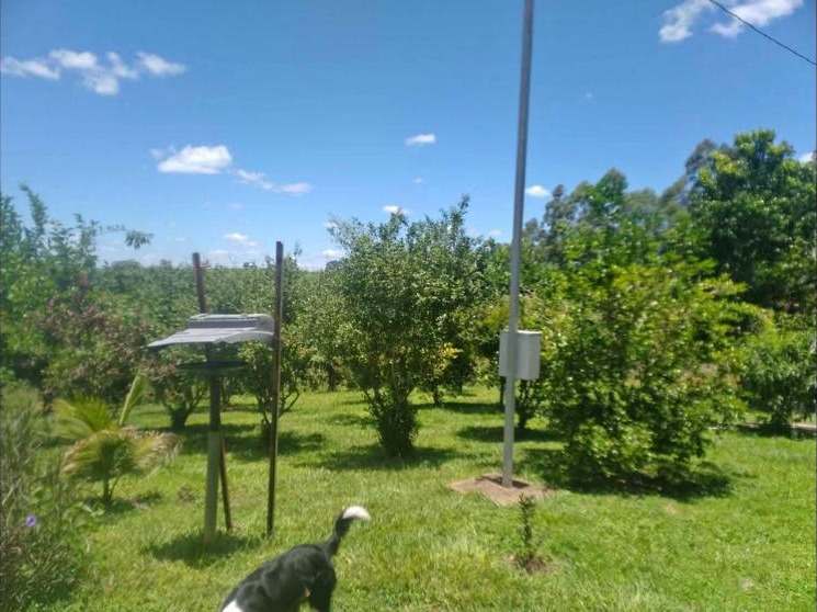 Foto 1